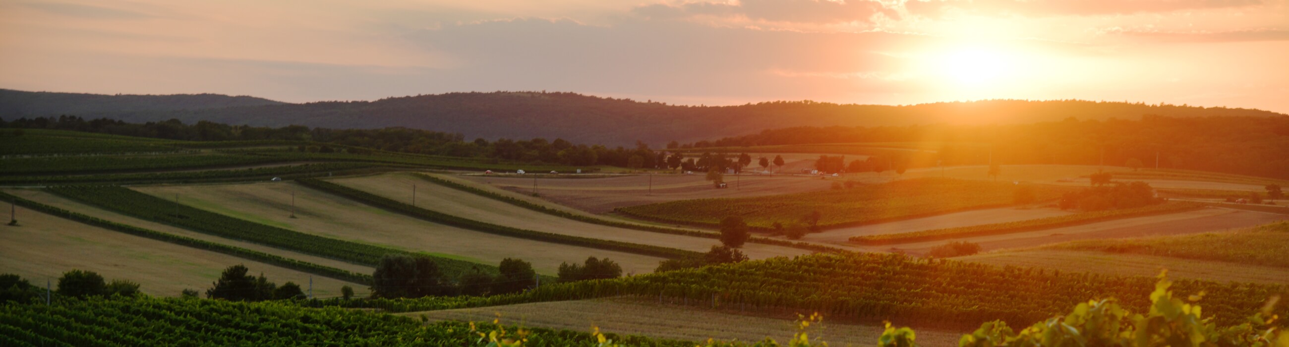 herkunft_header_700